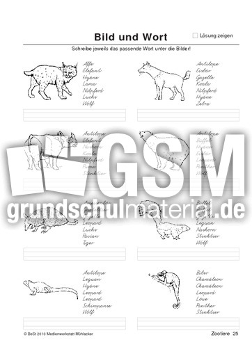 BuW Zootiere25.pdf